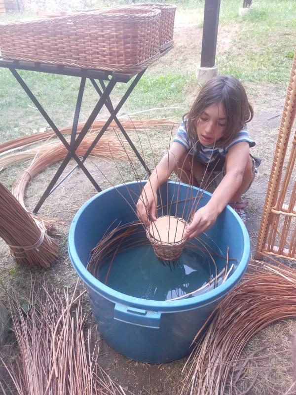 Започна обучението по “Кошничарство“ с майстор Станко Киров в Шипка 