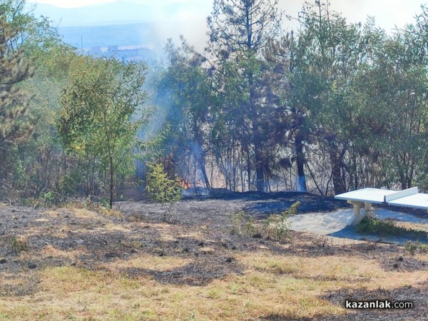 Пожар избухна в местността “Гледката“ на “Тюлбето“ / Обновена 