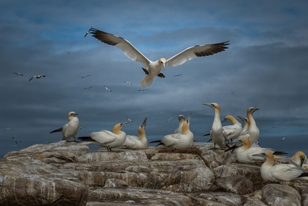 Майсторът на обектива Тодор Тилев с изложба в Казанлък 