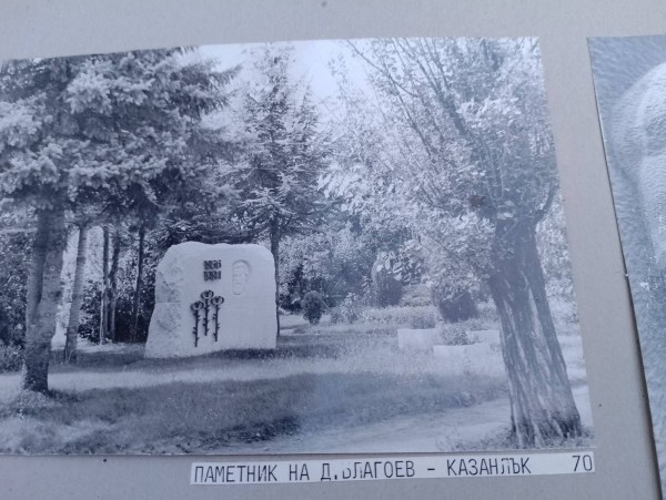 Дали летят ибисите? Една история за птици, талант и забрава