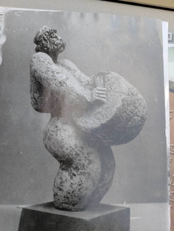 Дали летят ибисите? Една история за птици, талант и забрава