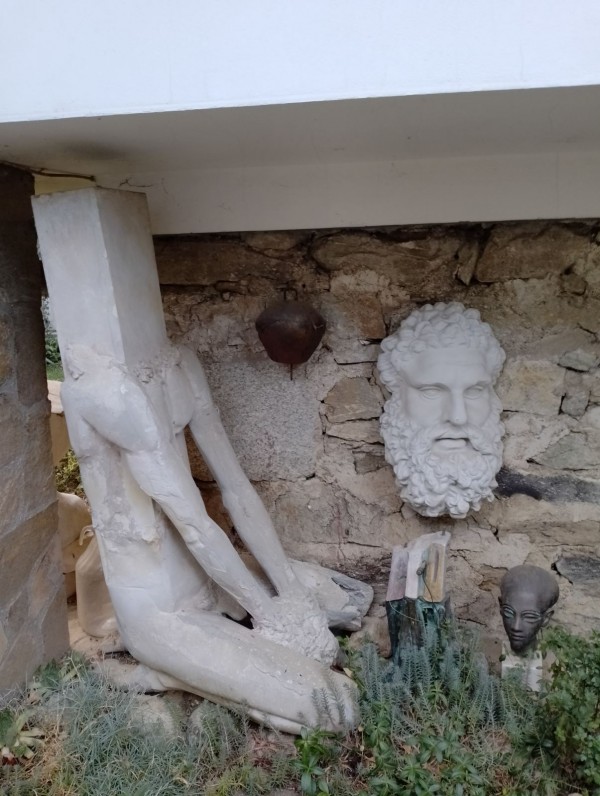 Дали летят ибисите? Една история за птици, талант и забрава