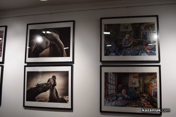 Изложба с кауза подредиха в Музея на фотографията