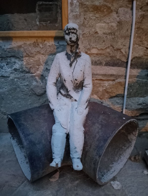 Дали летят ибисите? Една история за птици, талант и забрава