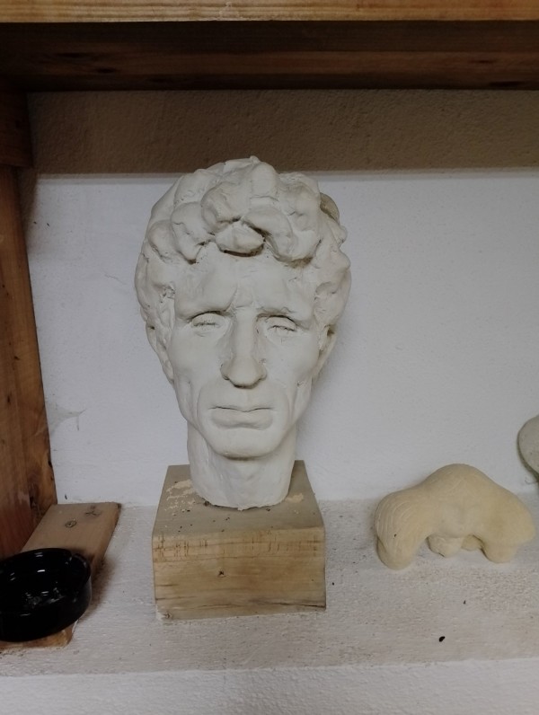 Дали летят ибисите? Една история за птици, талант и забрава