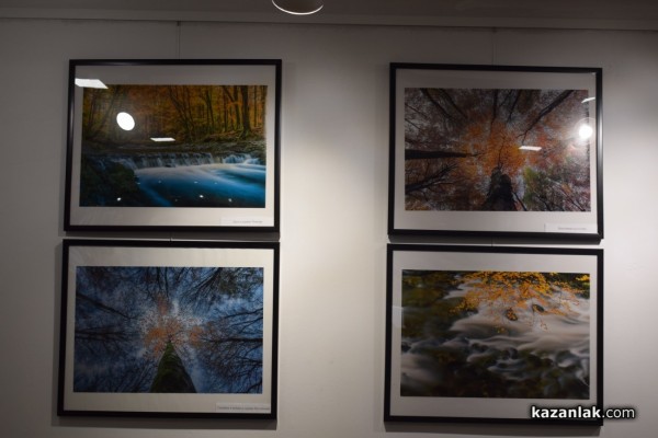 Изложба с кауза подредиха в Музея на фотографията