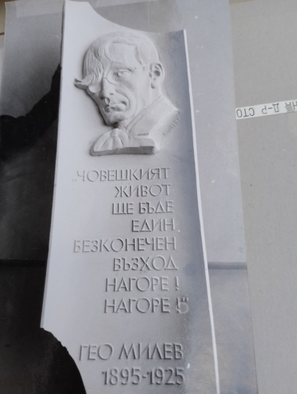 Дали летят ибисите? Една история за птици, талант и забрава