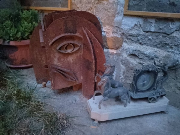 Дали летят ибисите? Една история за птици, талант и забрава