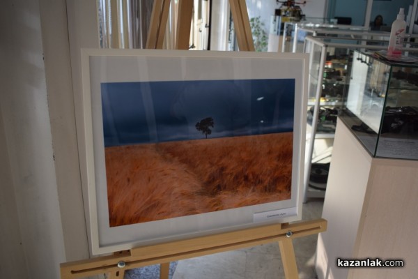 Изложба с кауза подредиха в Музея на фотографията