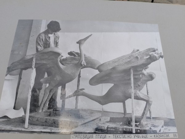 Дали летят ибисите? Една история за птици, талант и забрава