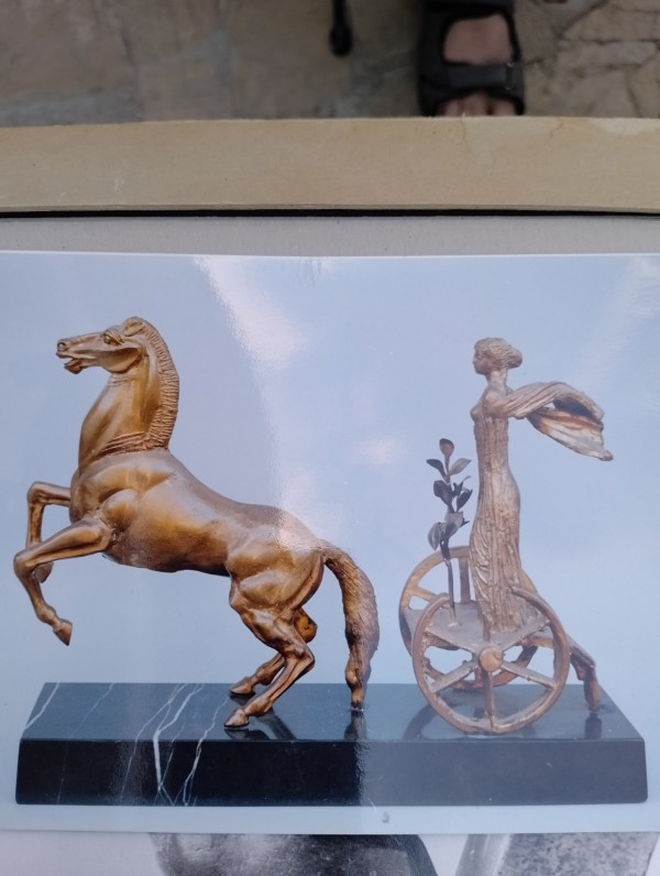 Дали летят ибисите? Една история за птици, талант и забрава