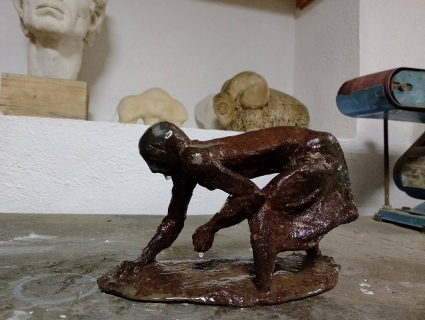 Дали летят ибисите? Една история за птици, талант и забрава