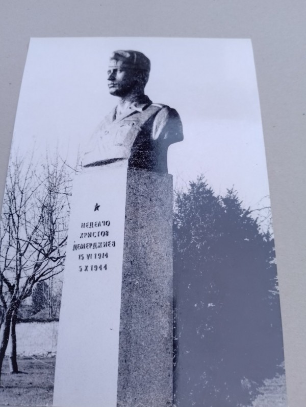 Дали летят ибисите? Една история за птици, талант и забрава