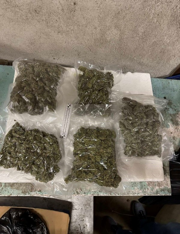 След спецакция, криминалисти откриха наркооранжерия в Старозагорско 