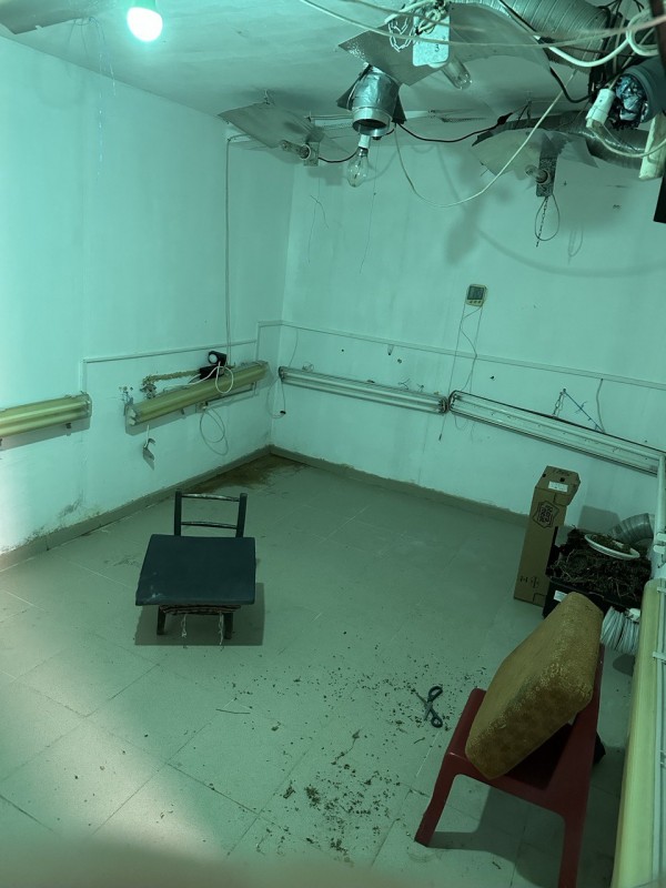 След спецакция, криминалисти откриха наркооранжерия в Старозагорско 