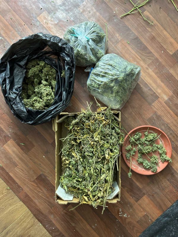 След спецакция, криминалисти откриха наркооранжерия в Старозагорско 