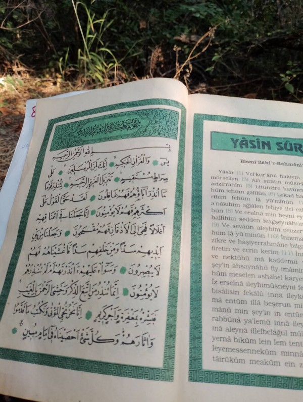 Теке над Скобелево пази тайни и цери 