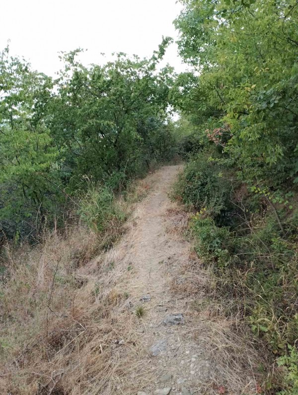 Теке над Скобелево пази тайни и цери 