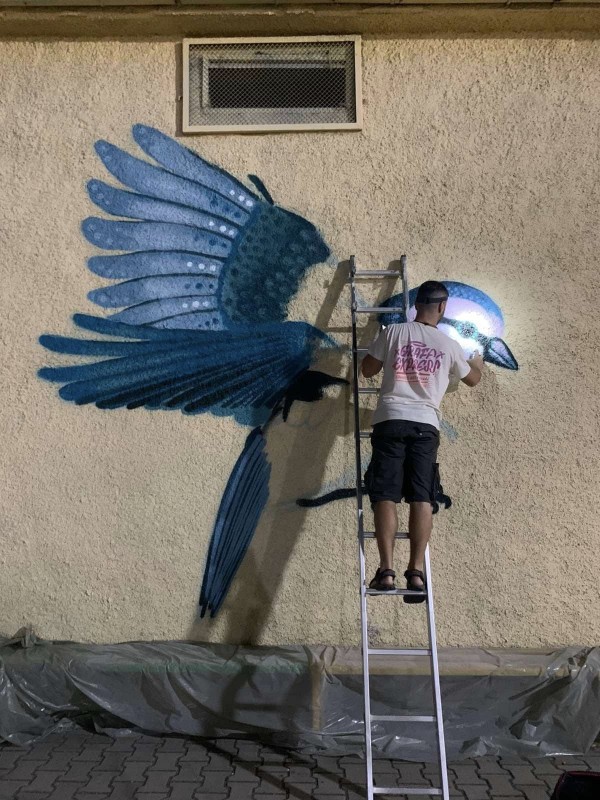 Цветен графит грейна върху една от стените на ОУ „Георги Кирков“