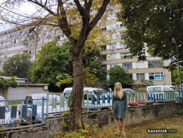 Защо премахнаха две дървета в ОДК „Св. Иван Рилски“ - Казанлък