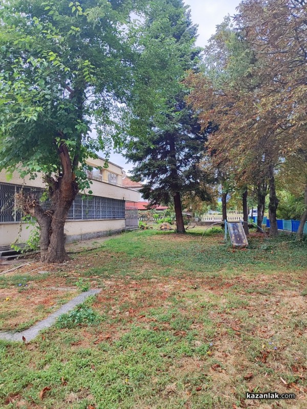 Защо премахнаха две дървета в ОДК „Св. Иван Рилски“ - Казанлък