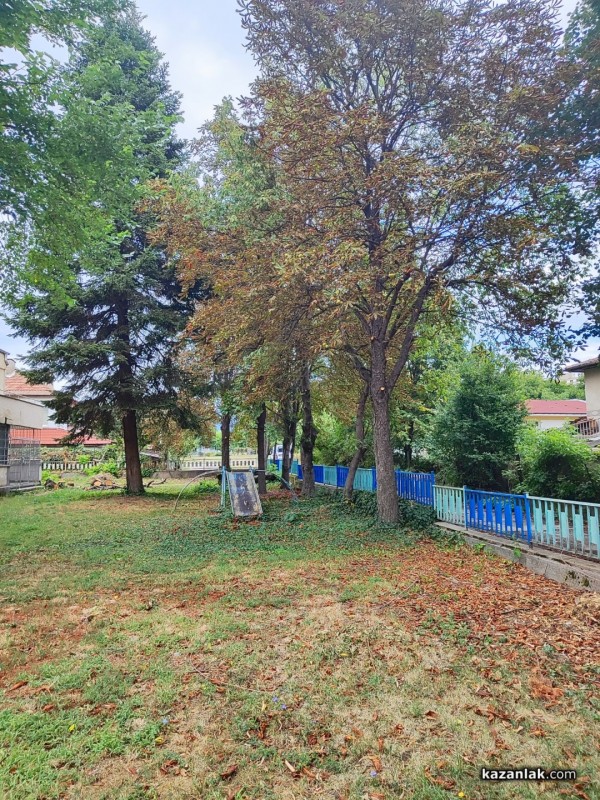 Защо премахнаха две дървета в ОДК „Св. Иван Рилски“ - Казанлък