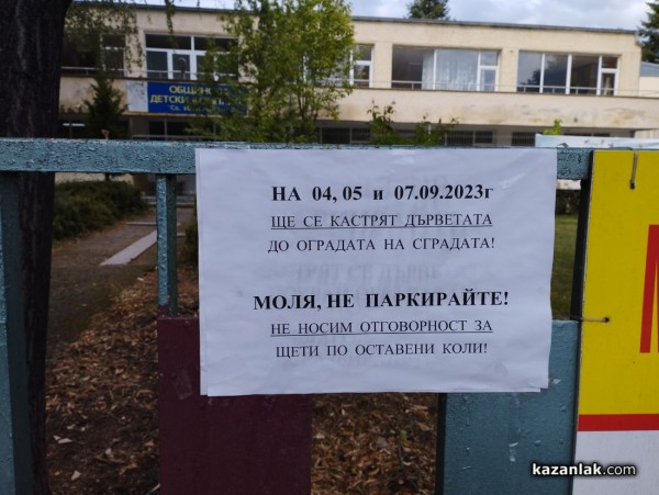 Защо премахнаха две дървета в ОДК „Св. Иван Рилски“ - Казанлък