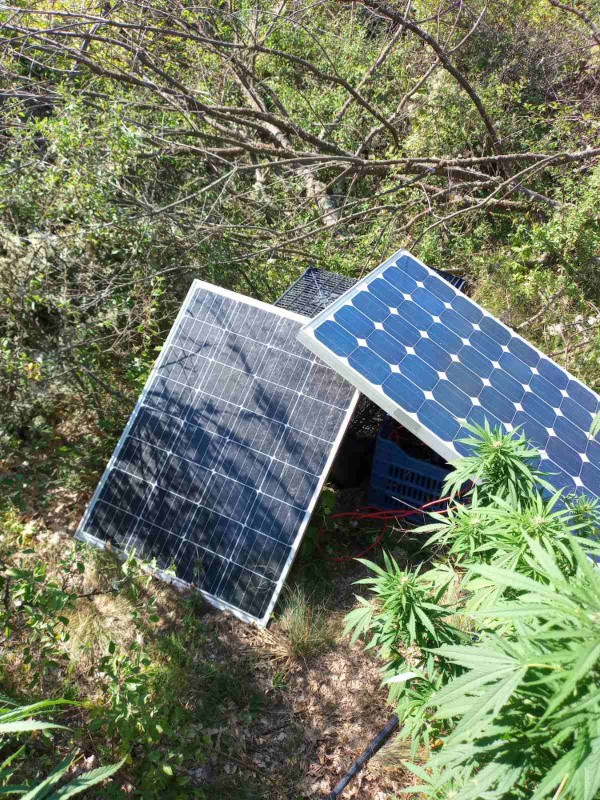 ГДБОП разби престъпна група за разпространение на наркотици на територията на Казанлък и област Стара Загора