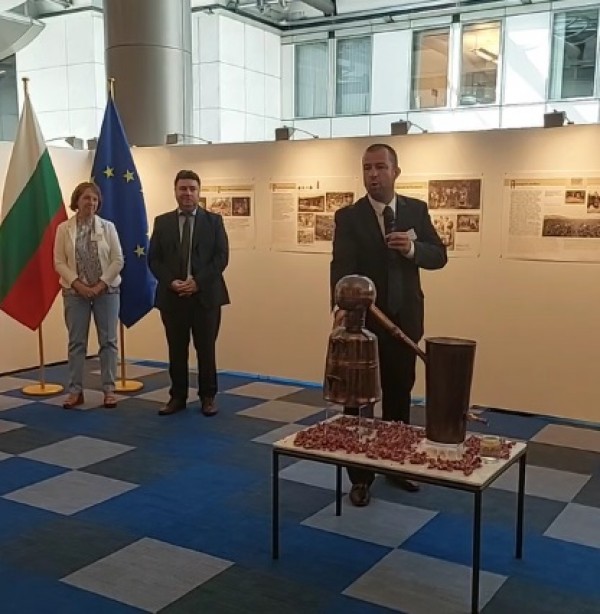 Кметът Галина Стоянова в Европарламента: Розата и розовото масло са не просто традиция и производство, те за нас са идентичност