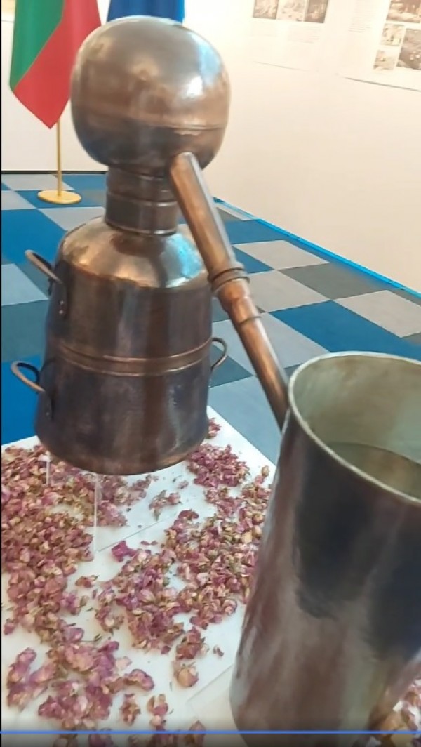 Кметът Галина Стоянова в Европарламента: Розата и розовото масло са не просто традиция и производство, те за нас са идентичност