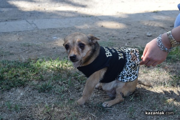 Деца и техните домашни любимци се забавляваха в Казанлък 