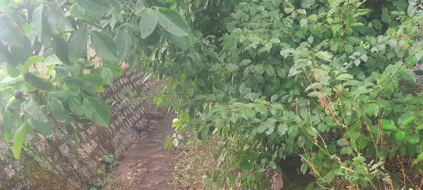 В района на град Шипка бяха почистени речни корита и канали