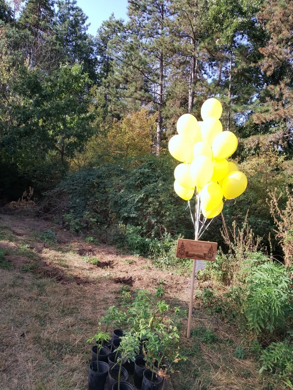 Жители на казанлъшкото село Бузовград създадоха “Гората на Ванко“ в памет на 14-годишния Иван Седмаков