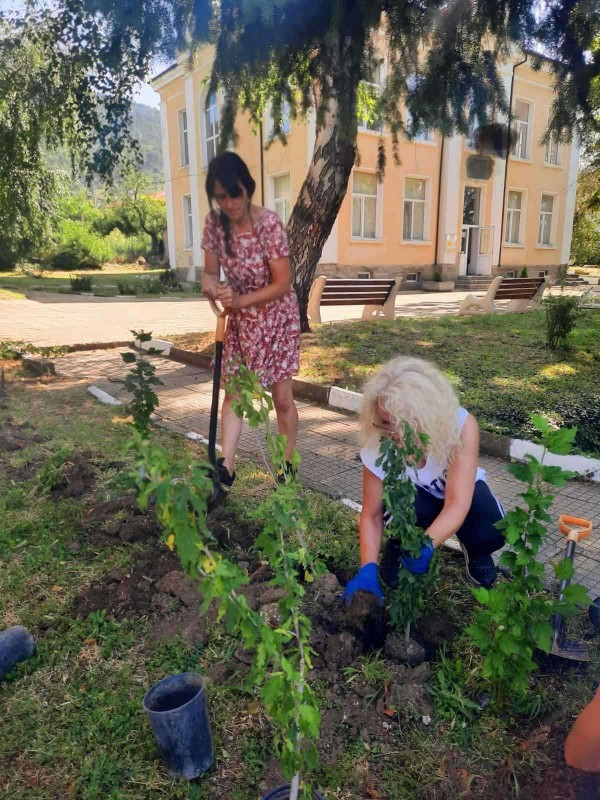 Зимата можете да я видите в снегорин, лятото –да полива цветята в парка