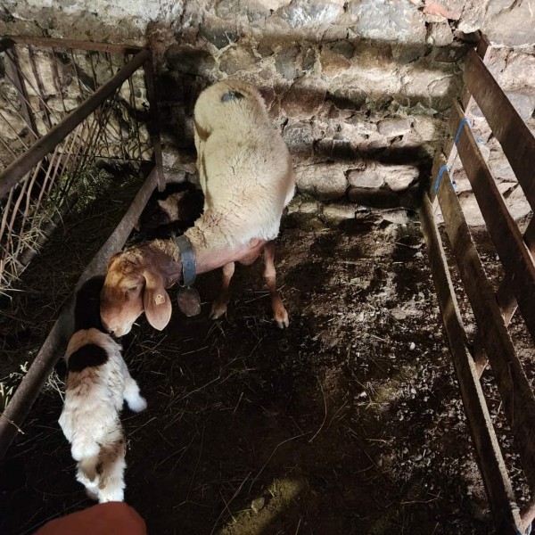 ИТН: Там, където никой не отива