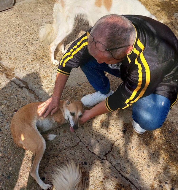 Д-р Колев, Бюлетина №1: Да използваме всяка форма на човешко общуване, за да намалим насилието над животни и хора