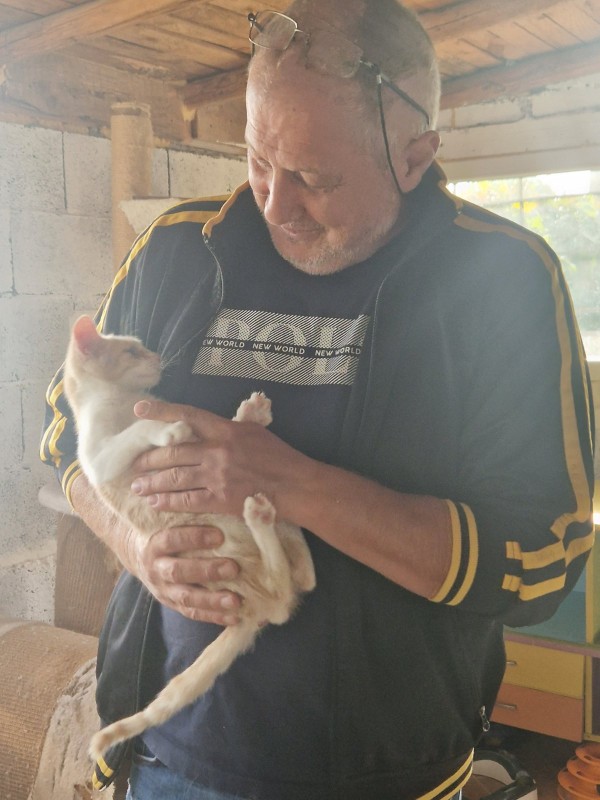 Д-р Колев, Бюлетина №1: Да използваме всяка форма на човешко общуване, за да намалим насилието над животни и хора