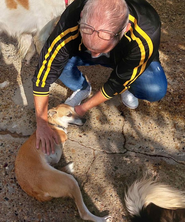 Д-р Колев, Бюлетина №1: Да използваме всяка форма на човешко общуване, за да намалим насилието над животни и хора