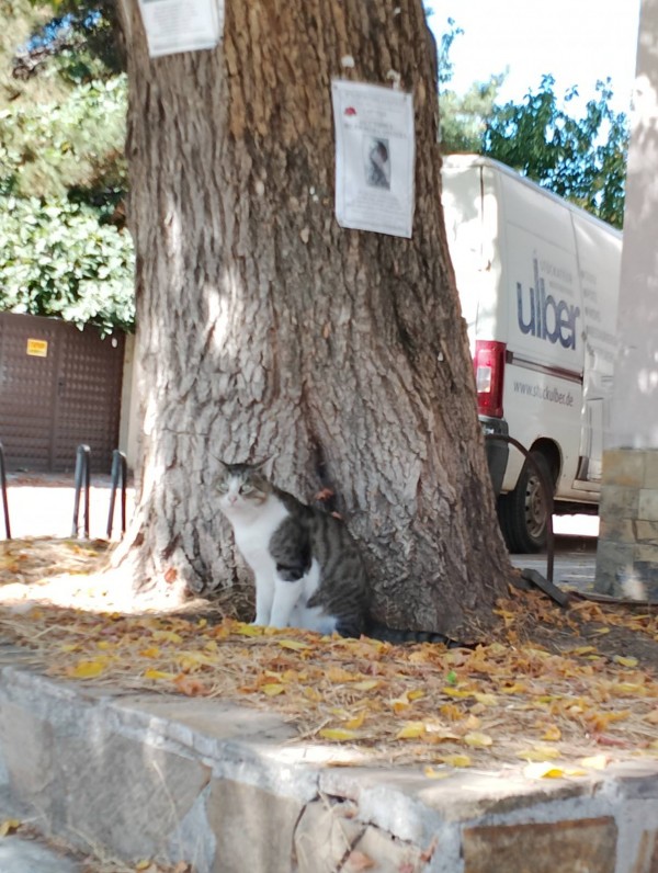 Ще има повече музика. Всяка промяна е за добро 