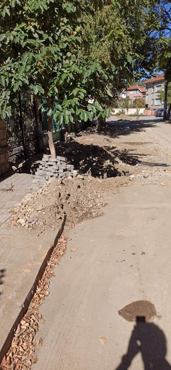 Живка Железова: Как да „надграждаме“, когато около нас са руини?!