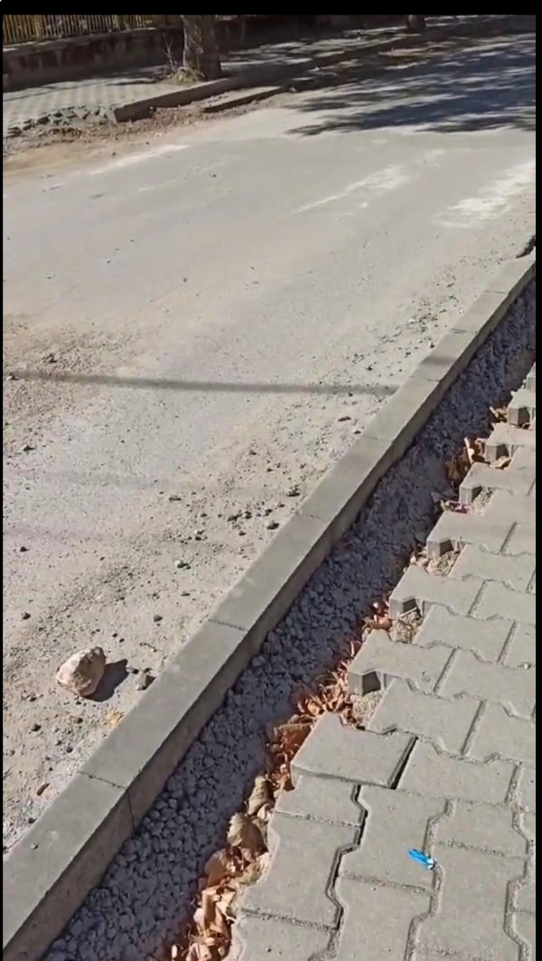 Живка Железова: Как да „надграждаме“, когато около нас са руини?!