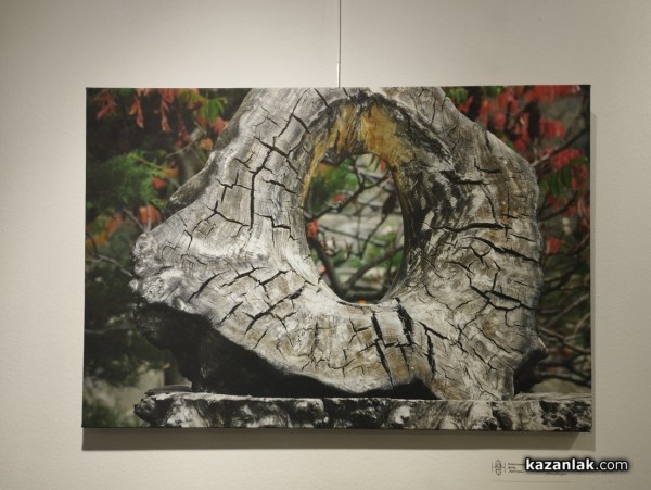 35 творби на 14 незрящи фотографи от проекта “Душата вижда“ бяха представени в Музея на фотографията