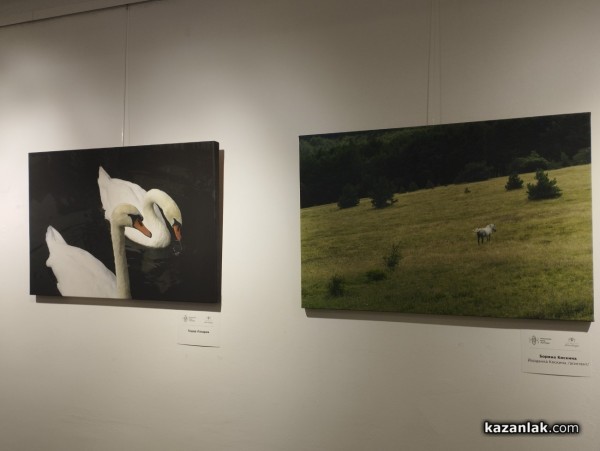 35 творби на 14 незрящи фотографи от проекта “Душата вижда“ бяха представени в Музея на фотографията