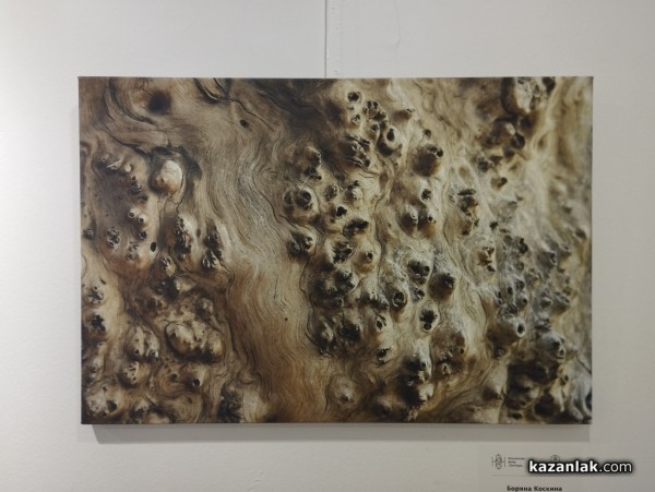 35 творби на 14 незрящи фотографи от проекта “Душата вижда“ бяха представени в Музея на фотографията