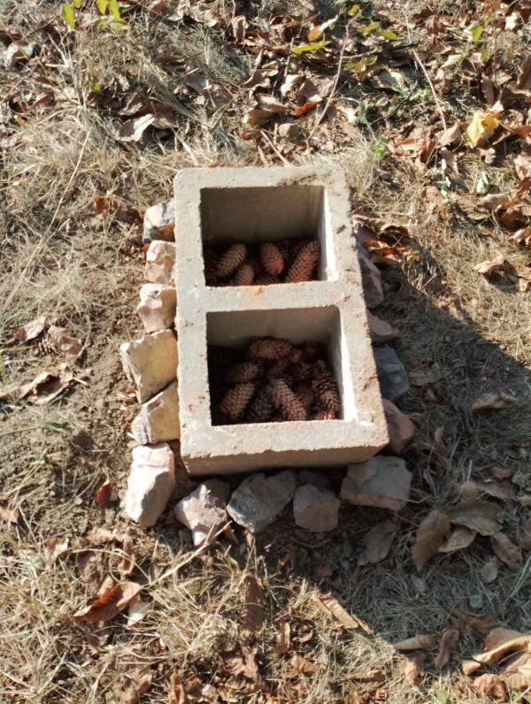 Едно тъжно място в Казанлък, което може да е Иначе