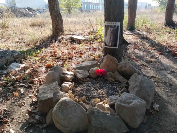 Едно тъжно място в Казанлък, което може да е Иначе / Новини от Казанлък