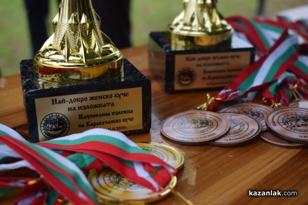 37 чистокръвни каракачански кучета от цялата страната участваха във втората национална киноложка изложба в Казанлък 