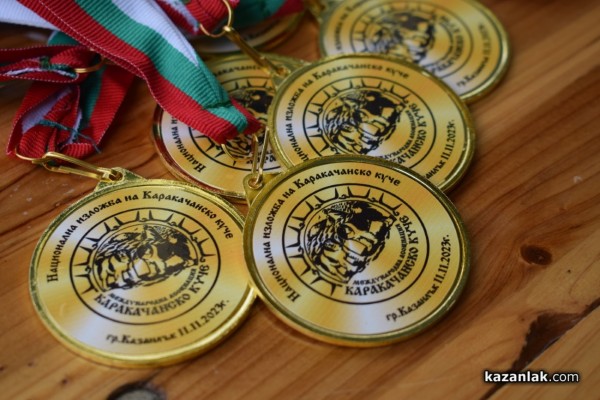 37 чистокръвни каракачански кучета от цялата страната участваха във втората национална киноложка изложба в Казанлък 