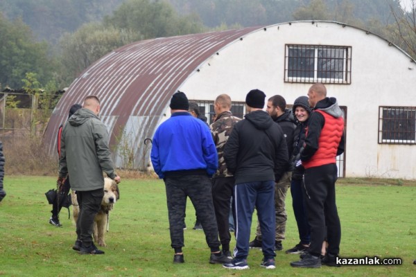 37 чистокръвни каракачански кучета от цялата страната участваха във втората национална киноложка изложба в Казанлък 