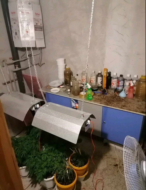 Казанлъшки криминалисти откриха оранжерия за отглеждане на марихуана, задържани са двама наркодилъри 